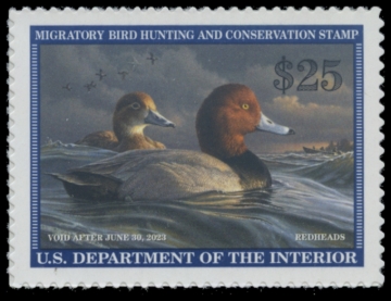 Picture of RW89 2022 Duck Stamp 