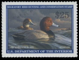 Picture of RW89 2022 Duck Stamp