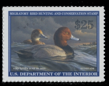 Picture of RW89 2022 Duck Stamp 