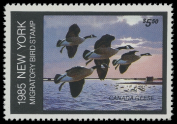 Picture of 1985 New York Duck Stamp - First of State