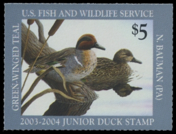 Picture of JDS11 2003 Duck Stamp MNH VF