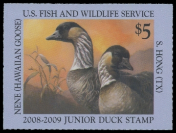 Picture of JDS16 2008 Duck Stamp 