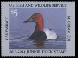 Picture of JDS21 2013 Duck Stamp 