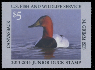 Picture of JDS21 2013 Duck Stamp 