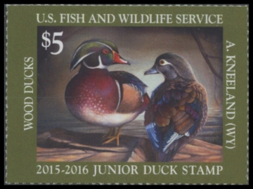 Picture of JDS23 2015 Duck Stamp 