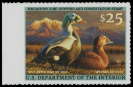 Picture of RW92 2025 Duck Stamp