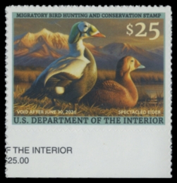 Picture of RW92 2025 Duck Stamp