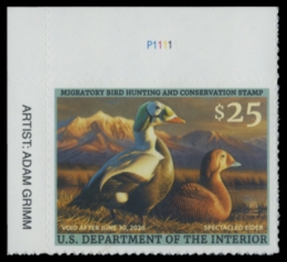 Picture of RW92 2025 Duck Stamp