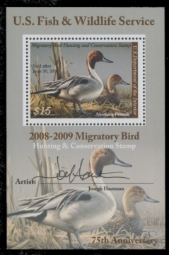 Picture of RW75B 2008 Duck Stamp