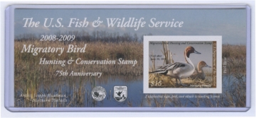 Picture of RW75A 2008 Duck Stamp 
