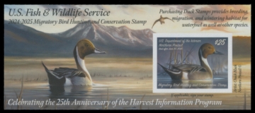 Picture of RW91A 2024 Duck Stamp