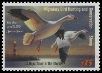 Picture of RW70 2003 Duck Stamp 