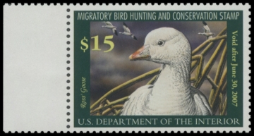 Picture of RW73 2006 Duck Stamp 