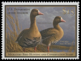 Picture of RW78 2011 Duck Stamp 