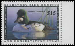 Picture of RW80 2013 Duck Stamp 