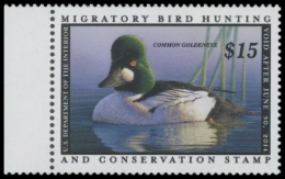 Picture of RW80 2013 Duck Stamp 