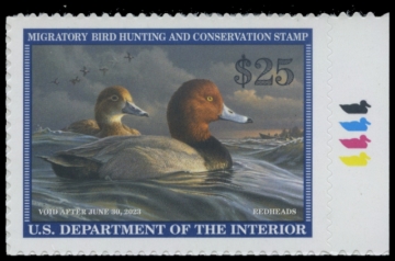 Picture of RW89 2022 Duck Stamp