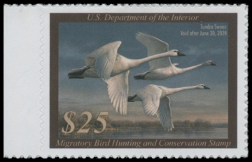 Picture of RW90 2023 Duck Stamp