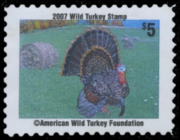 Picture of 0 American Wild Turkey Foundation Wild Turkey Stamp