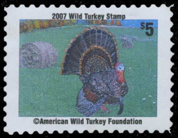 Picture of 0 American Wild Turkey Foundation Wild Turkey Stamp