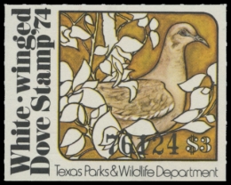 Picture of 1974 Texas White Winged Dove Stamp