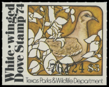 Picture of 1974 Texas White Winged Dove Stamp