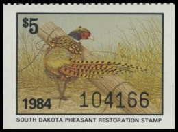 Picture of 1984 South Dakota Pheasant Stamp