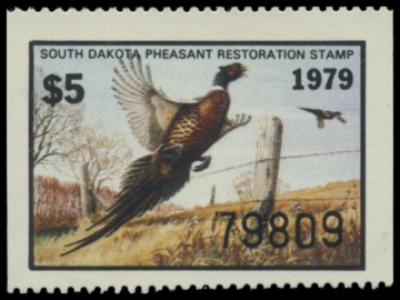 Picture of 1979 South Dakota Pheasant Stamp