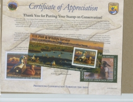 Picture of RW92A 2025 Duck Stamp 