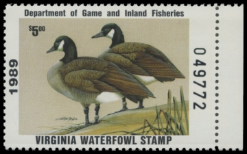 Picture of 1989 Virginia Duck Stamp