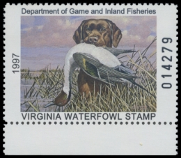 Picture of 1997 Virginia Duck Stamp