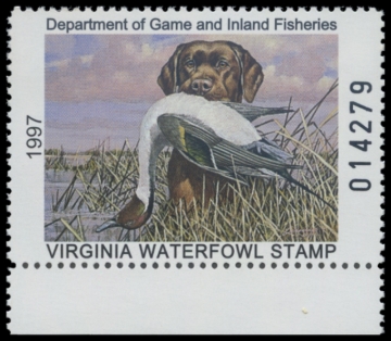 Picture of 1997 Virginia Duck Stamp
