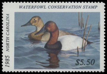 Picture of 1985 North Carolina Duck Stamp
