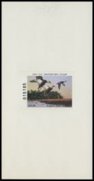 Picture of 2001 North Carolina Duck Stamp