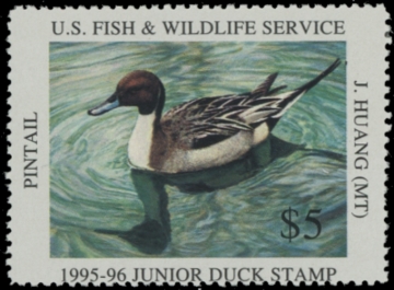 Picture of JDS3 1995 Duck Stamp