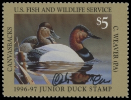 Picture of JDS4 1996 Duck Stamp 