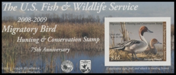Picture of RW75A 2008 Duck Stamp 