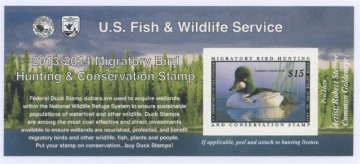 Picture of RW80A 2013 Duck Stamp 
