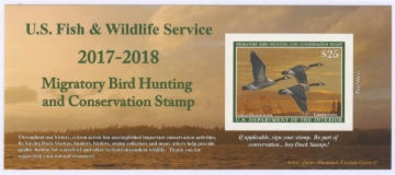 Picture of RW84A 2017 Duck Stamp 