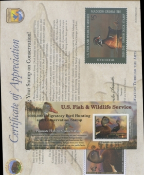 Picture of RW87A 2020 Duck Stamp 