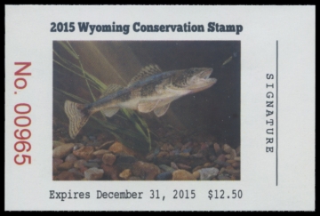Picture of 2015 Wyoming Duck Stamp