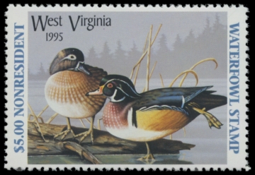 Picture of 1995 West Virginia Duck Stamp