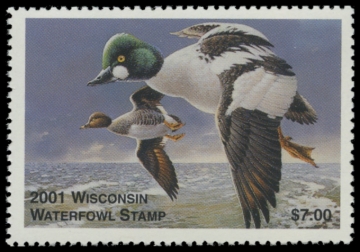 Picture of 2001 Wisconsin Duck Stamp