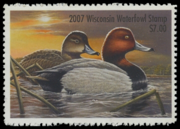 Picture of 2007 Wisconsin Duck Stamp
