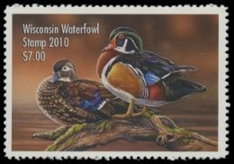 Picture of 2010 Wisconsin Duck Stamp