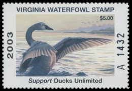 Picture of 2003 Virginia Duck Stamp