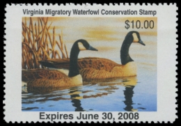 Picture of 2007 Virginia Duck Stamp
