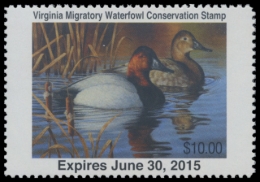 Picture of 2014 Virginia Duck Stamp