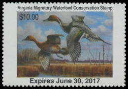 Picture of 2016 Virginia Duck Stamp