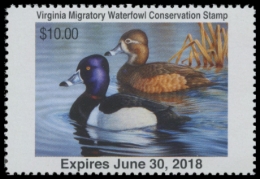 Picture of 2017 Virginia Duck Stamp